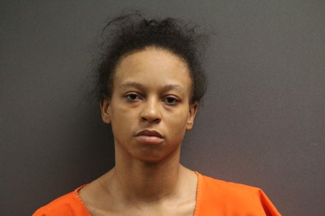 Primary photo of Erica N Hines - Please refer to the physical description