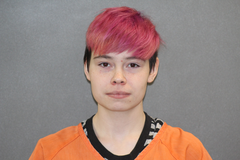 Mugshot of COMER, ANDI MARIAH