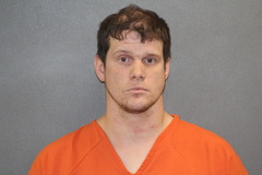 Mugshot of HIGGINS, WYATT ELVIN