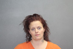 Mugshot of LONG, STEPHANIE ANN