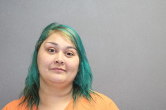 Mugshot of PHELAN, CYNTHIA MARIE