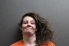 Mugshot of VANWINKLE, HOLLY REBECCA