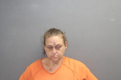 Mugshot of PEASE, LISA NICOLE