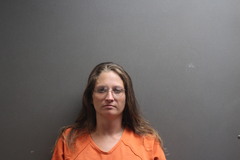 Mugshot of WILKERSON, CASSANDRA DAWN