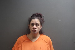Mugshot of HAYS, ABBY MARIE