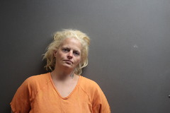 Mugshot of LONG, STEPHANIE ANN